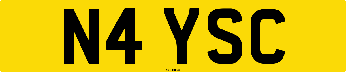 N4YSC MOT Check