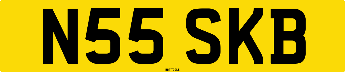 N55SKB MOT Check