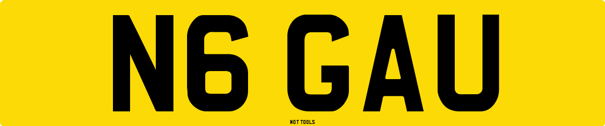 N6GAU MOT Check