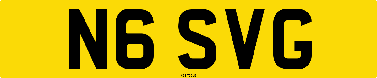 N6SVG MOT Check