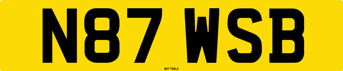 N87WSB MOT Check