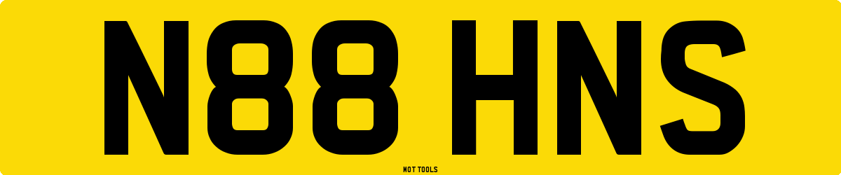 N88HNS MOT Check