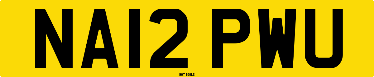 NA12PWU MOT Check