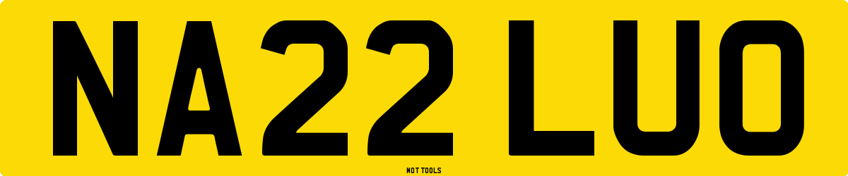 NA22LUO MOT Check
