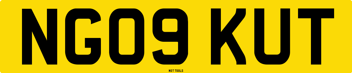 NG09KUT MOT Check