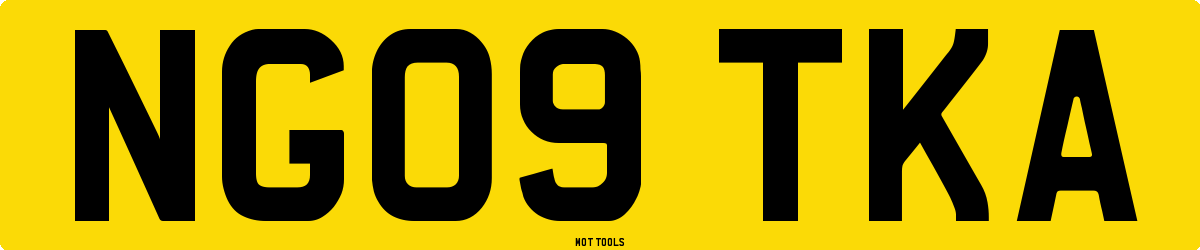 NG09TKA MOT Check