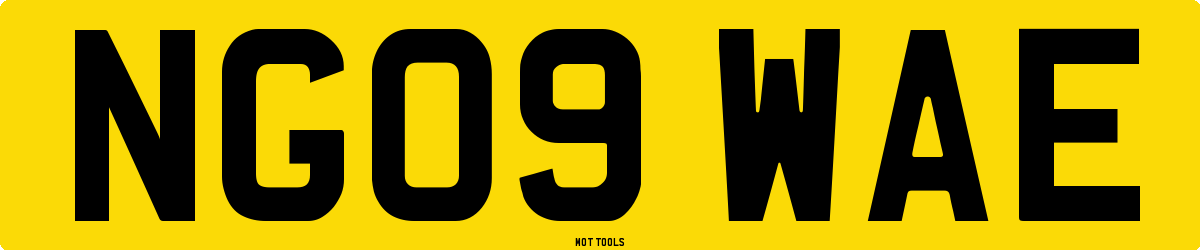 NG09WAE MOT Check
