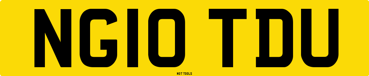 NG10TDU MOT Check