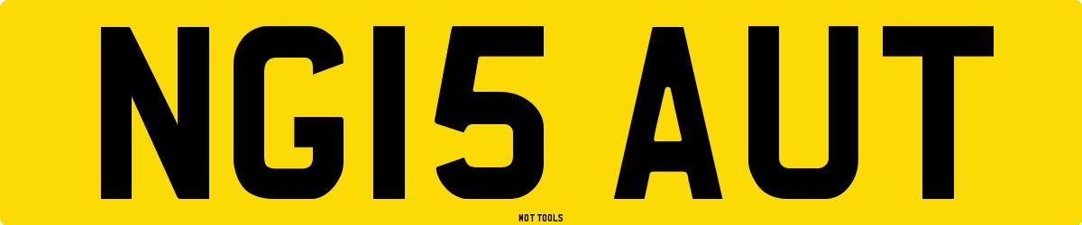 NG15AUT MOT Check