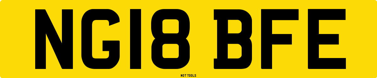 NG18BFE MOT Check