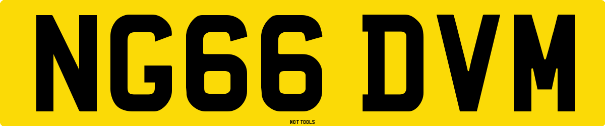 NG66DVM MOT Check