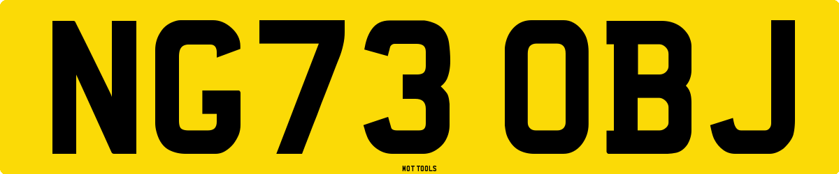 NG73OBJ MOT Check