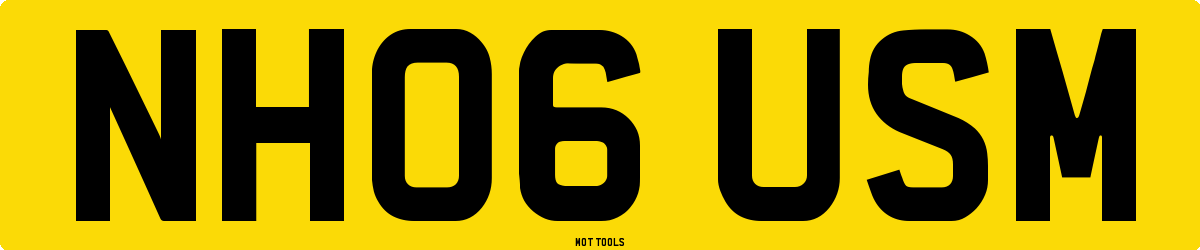 NH06USM MOT Check