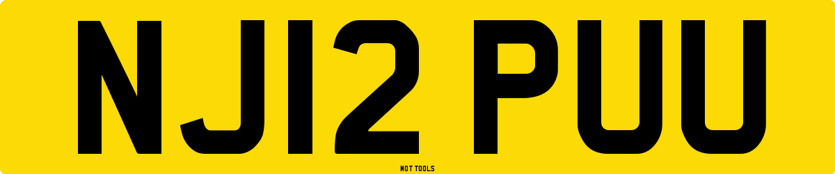 NJ12PUU MOT Check