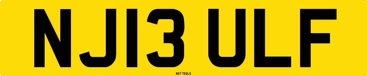 NJ13ULF MOT Check