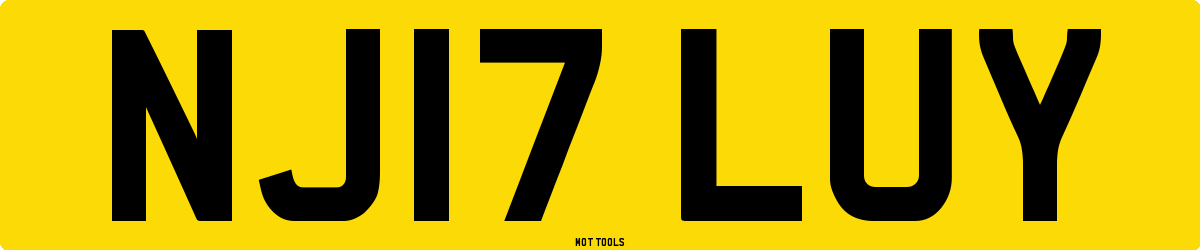 NJ17LUY MOT Check
