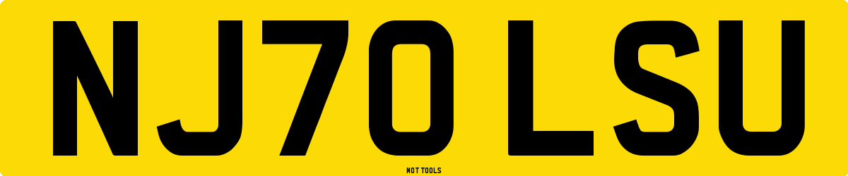 NJ70LSU MOT Check