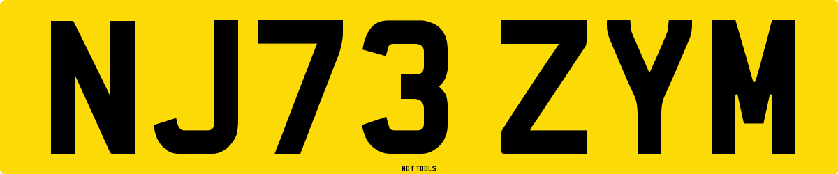 NJ73ZYM MOT Check