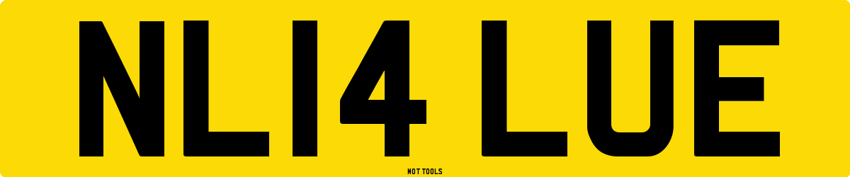 NL14LUE MOT Check