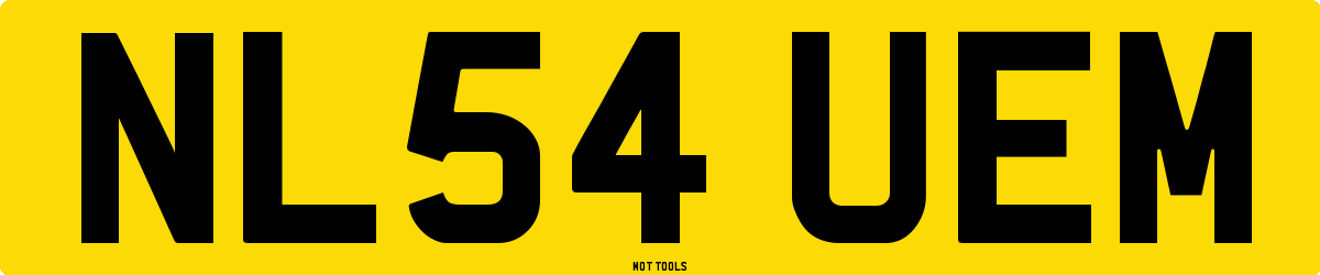NL54UEM MOT Check