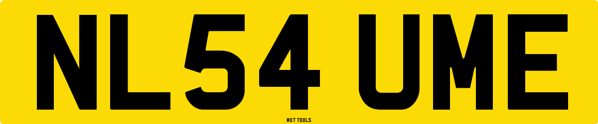 NL54UME MOT Check