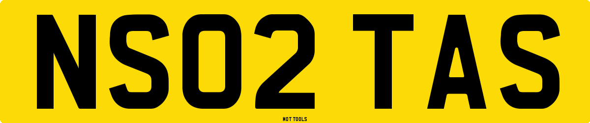 NS02TAS MOT Check