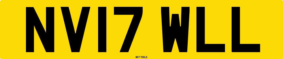 NV17WLL MOT Check