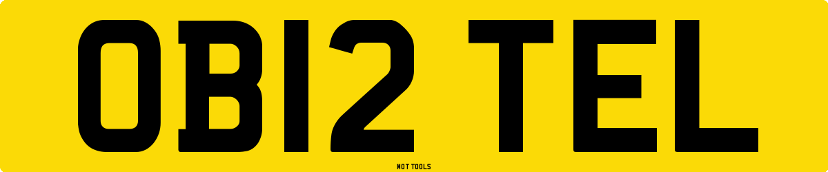 OB12TEL MOT Check