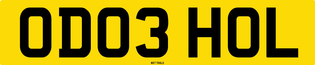 OD03HOL MOT Check