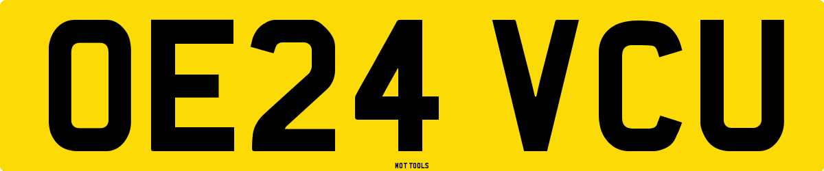 OE24VCU MOT Check