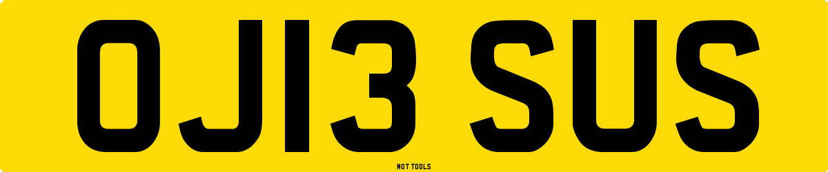 OJ13SUS MOT Check