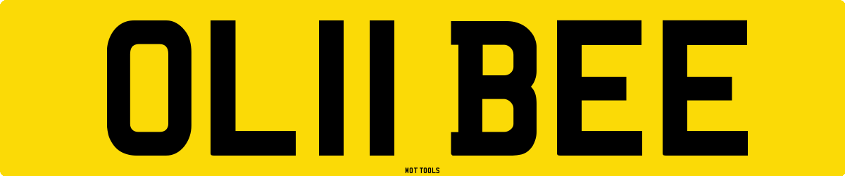 OL11BEE MOT Check