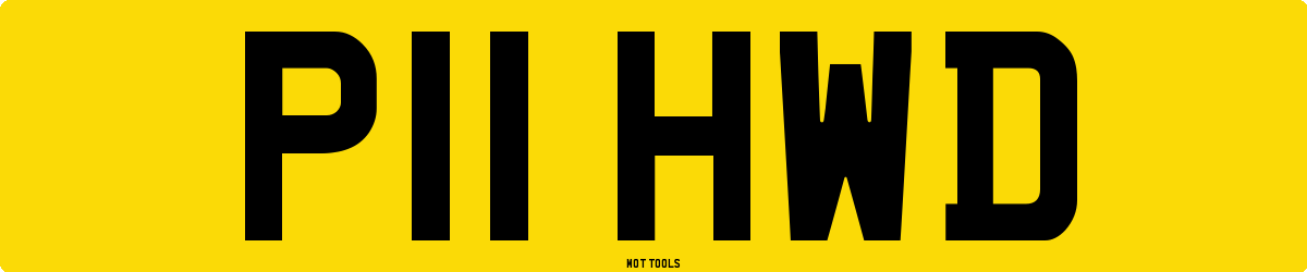 P11HWD MOT Check