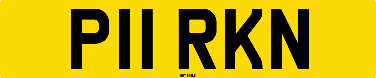 P11RKN MOT Check