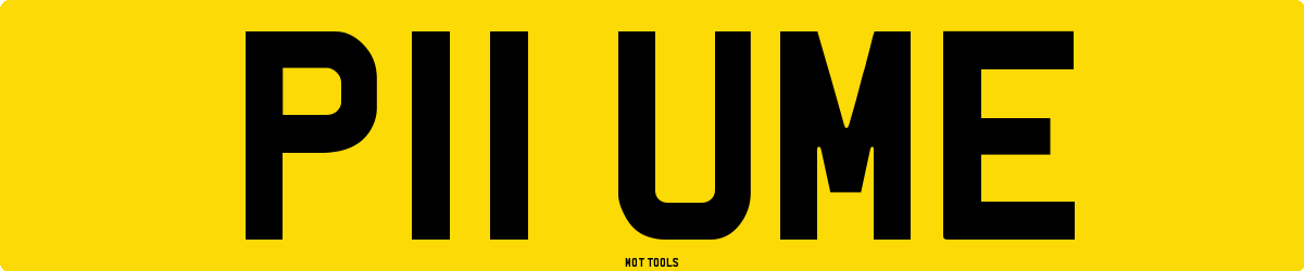 P11UME MOT Check
