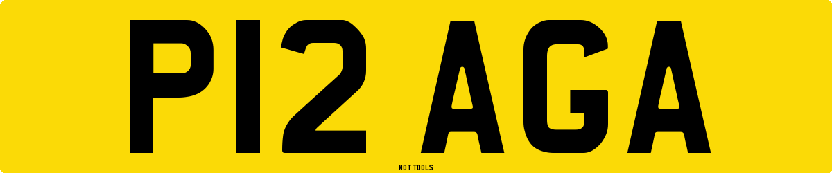 P12AGA MOT Check