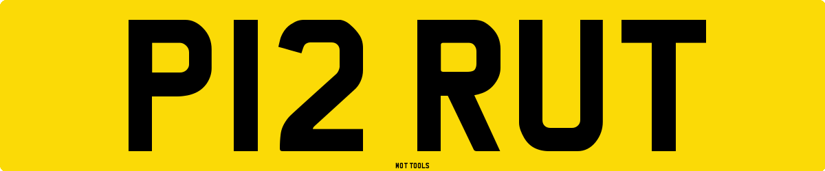 P12RUT MOT Check