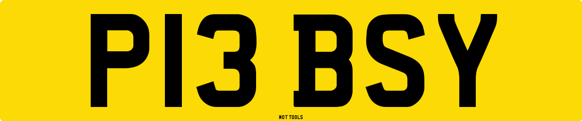 P13BSY MOT Check