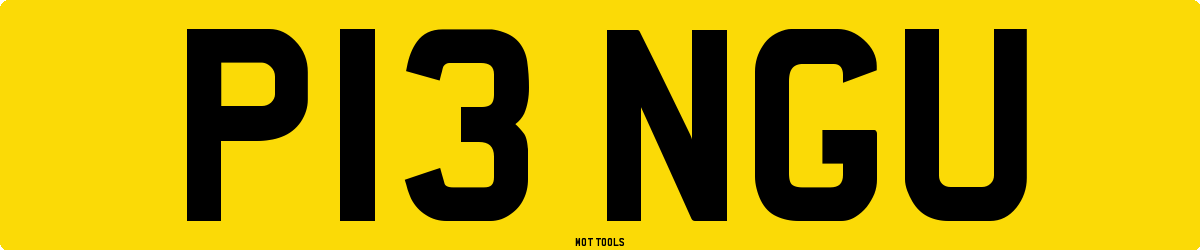 P13NGU MOT Check