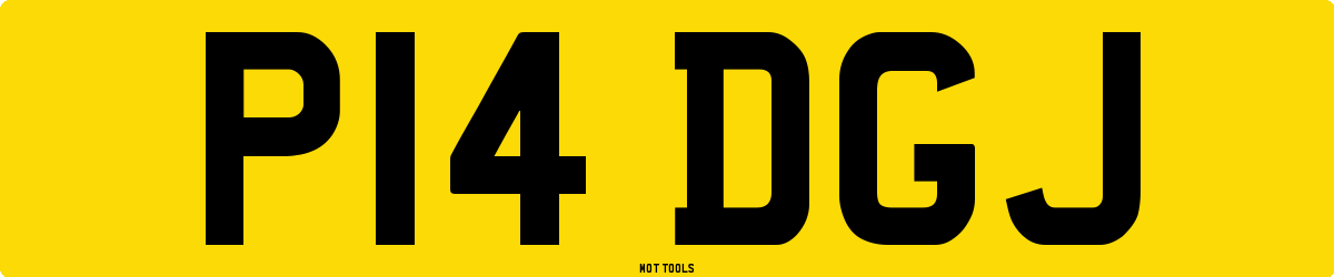 P14DGJ MOT Check