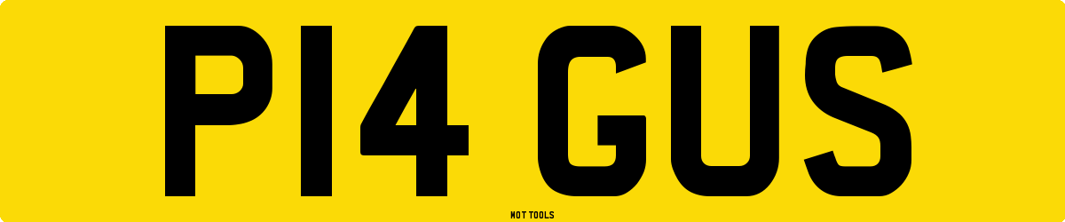P14GUS MOT Check