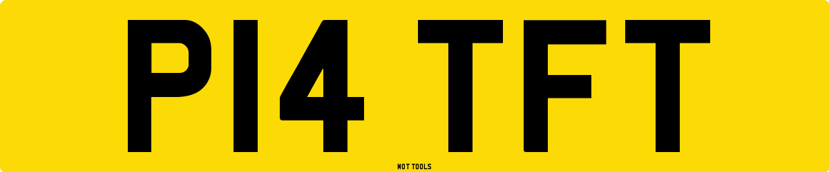 P14TFT MOT Check