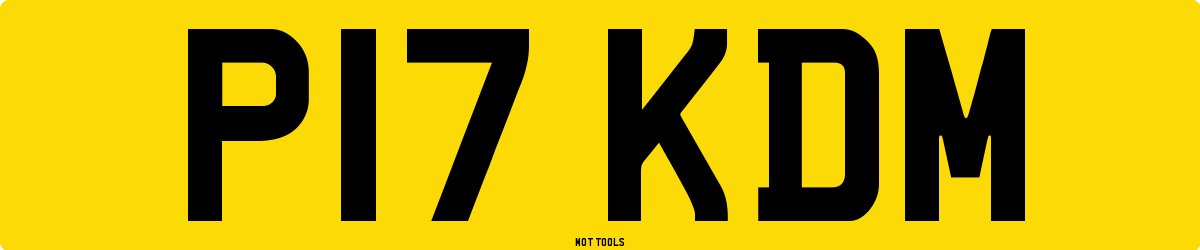 P17KDM MOT Check