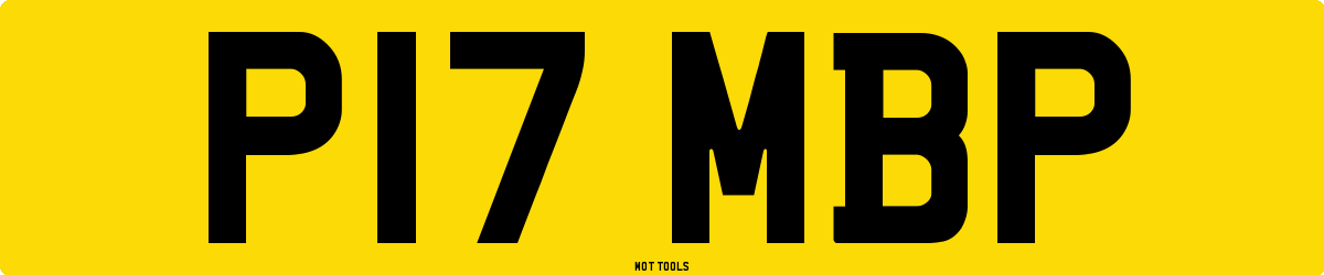 P17MBP MOT Check
