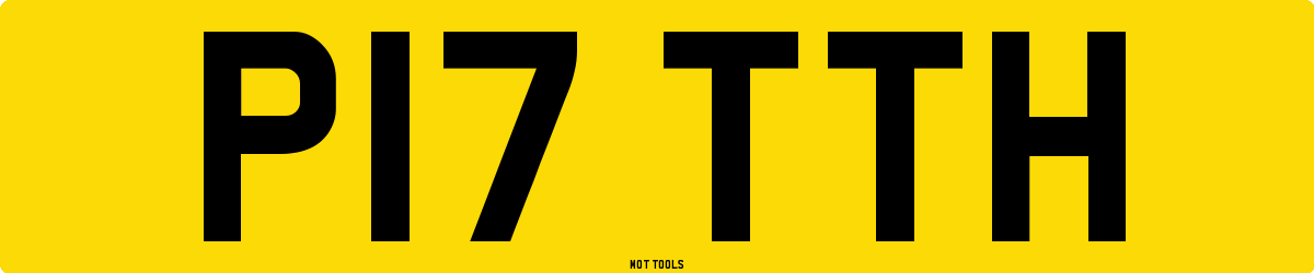 P17TTH MOT Check