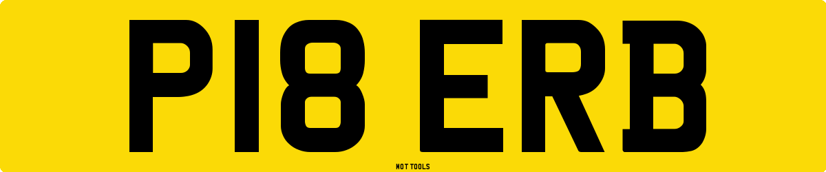 P18ERB MOT Check