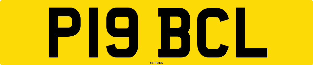 P19BCL MOT Check