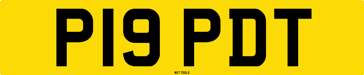 P19PDT MOT Check