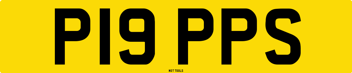 P19PPS MOT Check