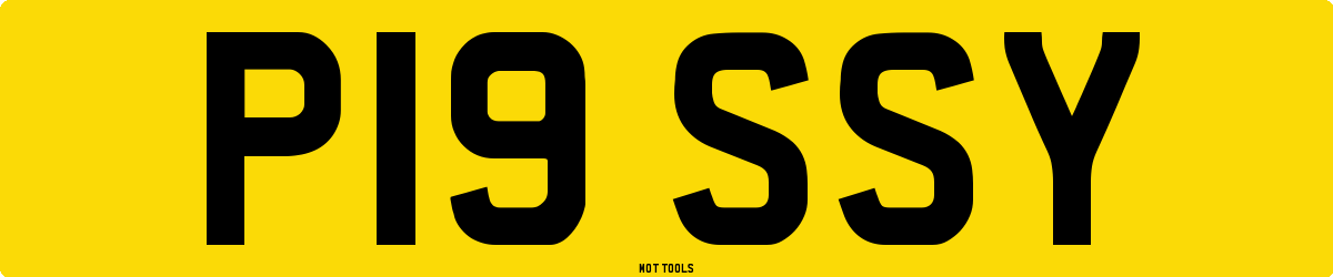 P19SSY MOT Check